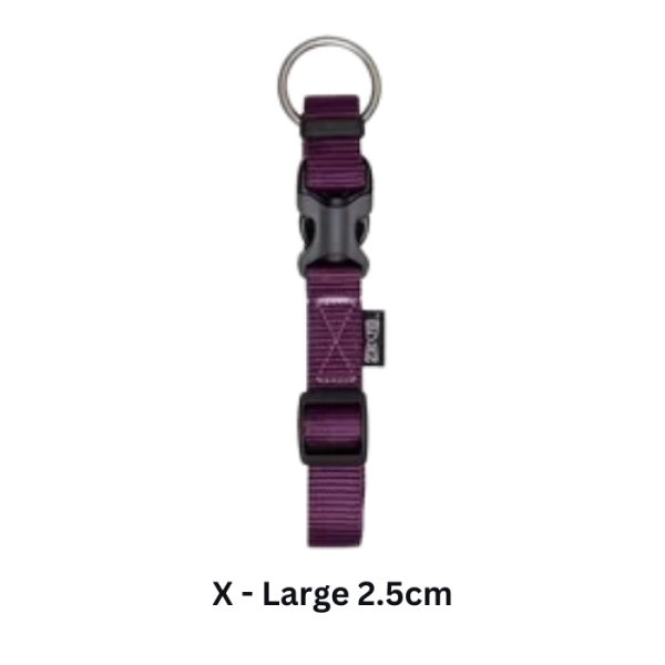 ZEUS Adj. Collar Royal Purple X-Large 2.5cm