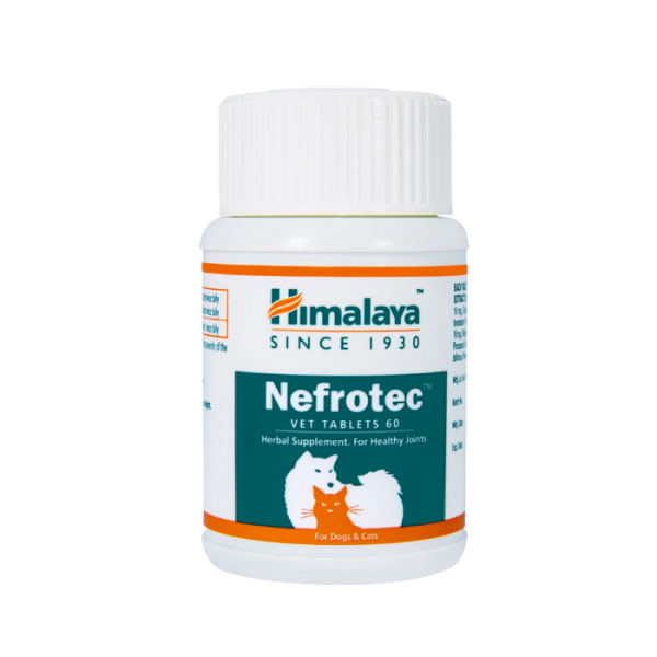 HIMALAYA Nefrotec - 60 Tablets
