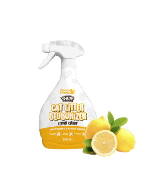 CINDY & FRIENDS DEODORIZER SPRAY 500ML - Image 3