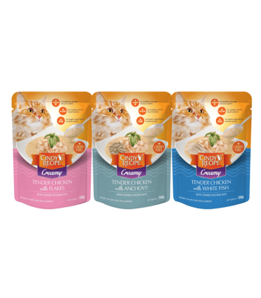 CINDY'S RECIPE TENDER CHICKEN 50G