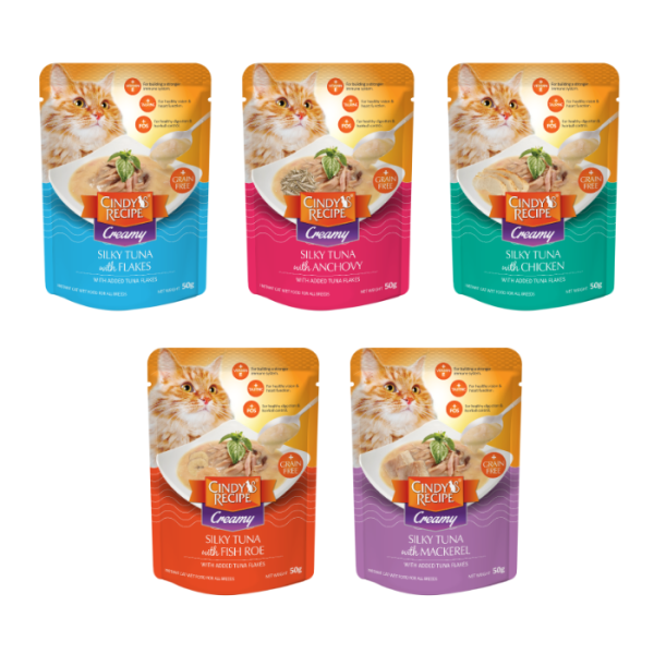 CINDY'S RECIPE TENDER SILKY 50G