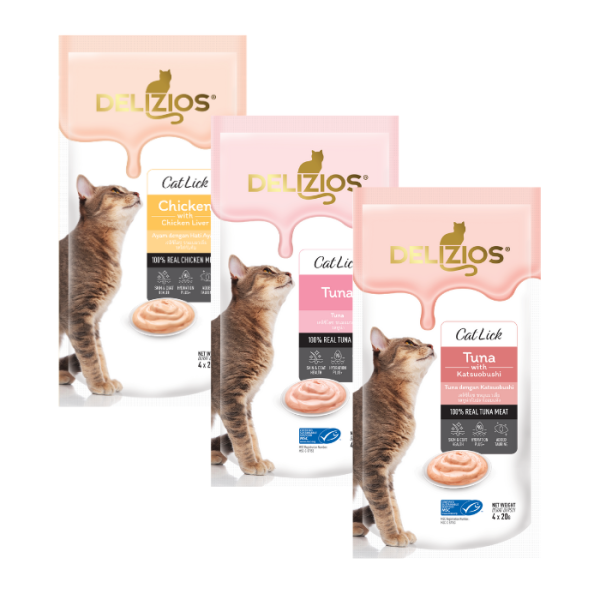 DELIZIOS CAT LICK FLAVOURS 80G