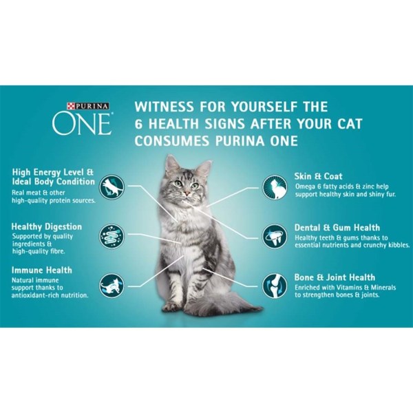 Purina One Indoor Advantage with Chicken - Image 2