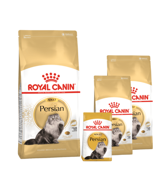 ROYAL CANIN FELINE ADULT PERSIAN
