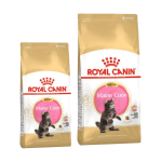ROYAL CANIN FELINE MAINECOON