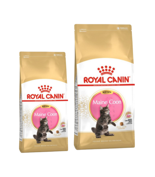 ROYAL CANIN FELINE MAINECOON