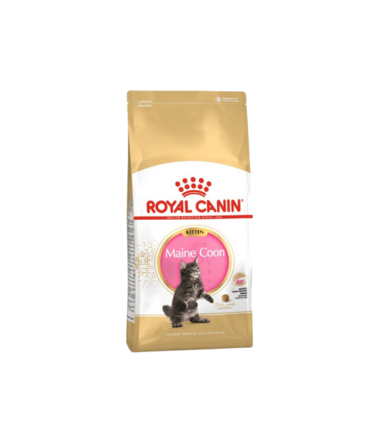 ROYAL CANIN FELINE MAINECOON - Image 2
