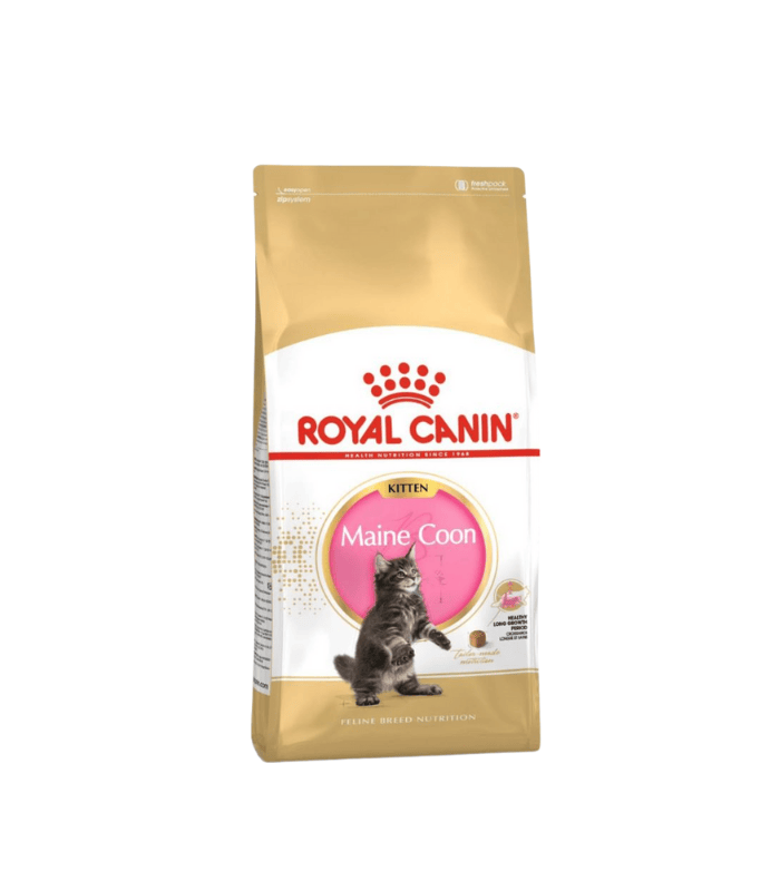 ROYAL CANIN FELINE MAINECOON - Image 3