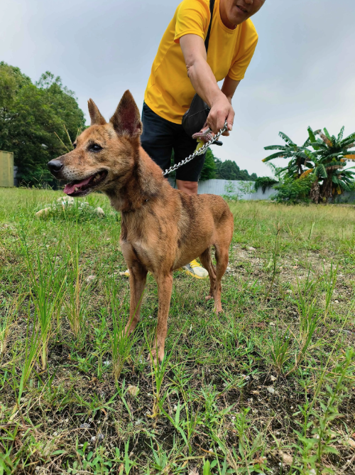 Screen Shot 2025-08-27 at 9.57.23 AM