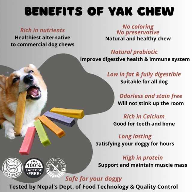 HEY!BOBO Yak Cheese Chew Mint -S - Image 2