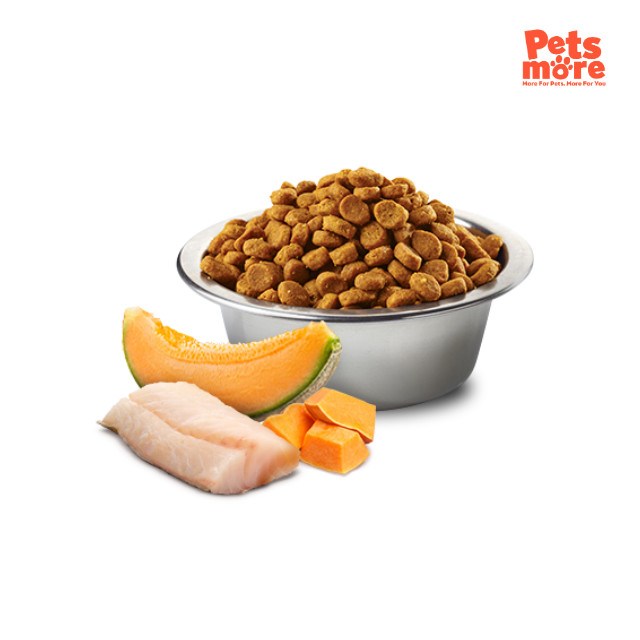 FARMINA N&D Ocean Codfish Pumpkin Cantaloupe Puppy Mini 2.5Kg - Image 2