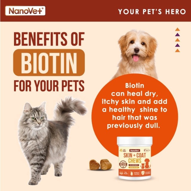 NANOVET Chews skin and coat Salmon Bites - 120chew - Image 3
