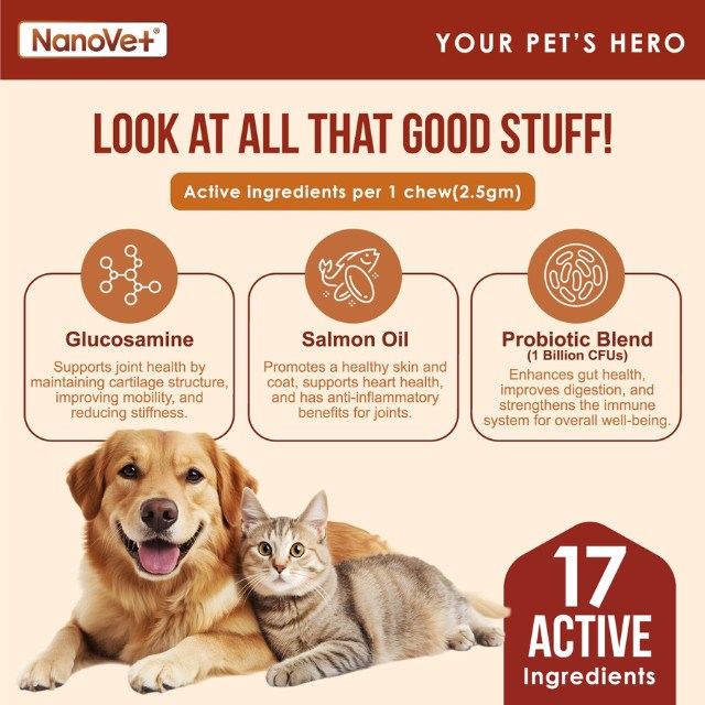 NANOVET Chews Multivitamin -120chew - Image 3