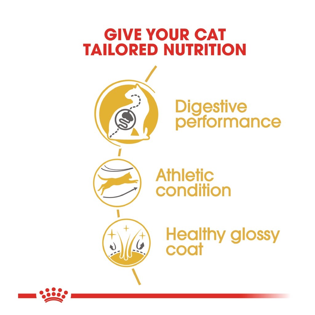 ROYAL CANIN Bengal Adult (2kg) Dry Cat Food Makanan Kucing – Feline Breed Nutrition - Image 4