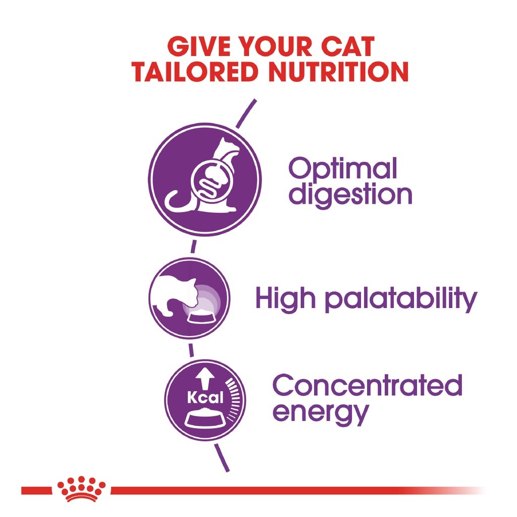 ROYAL CANIN Sensible 33 (4kg) Adult Dry Cat Food Makanan Kucing - Feline Health Nutrition - Image 2