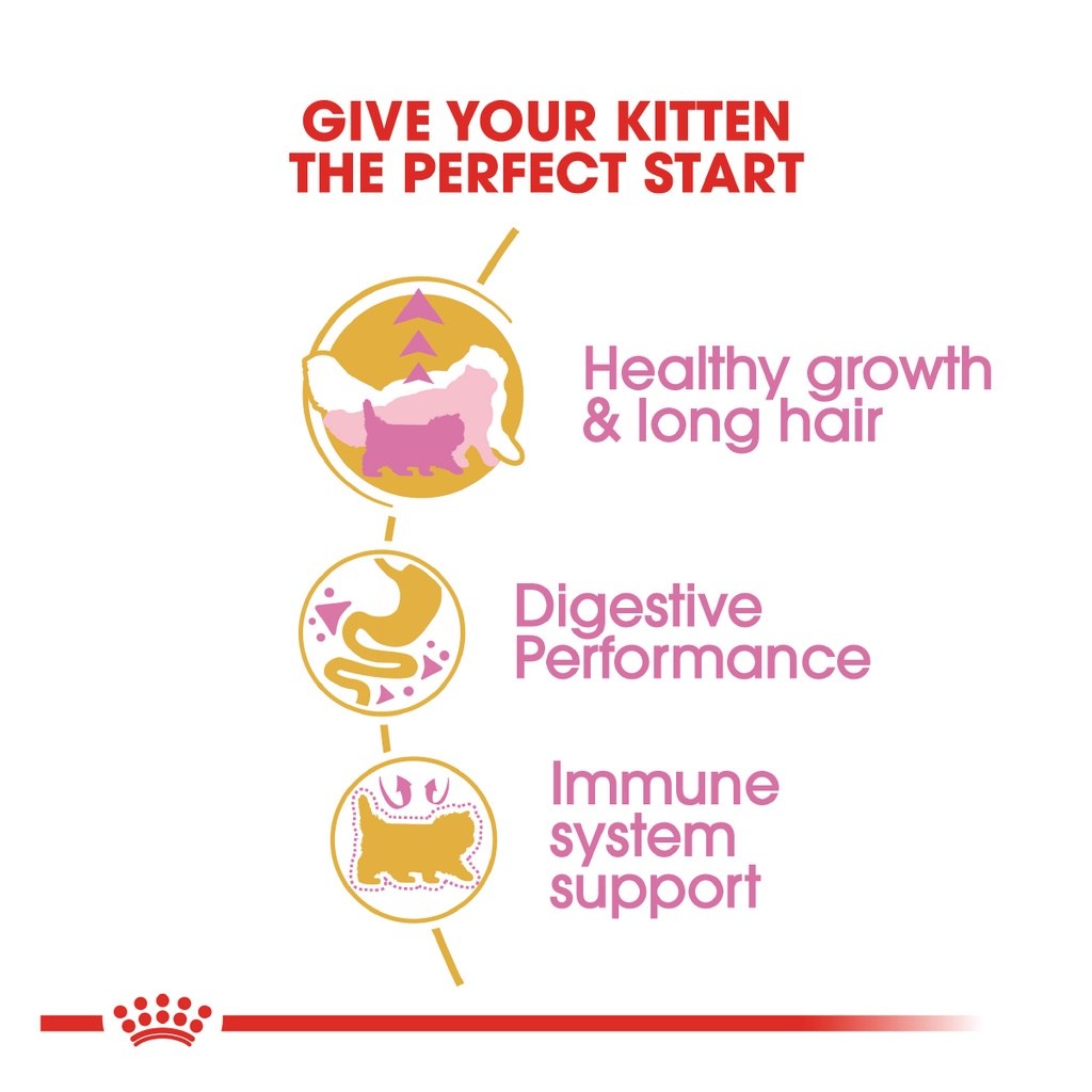 ROYAL CANIN Persian Kitten (4kg) Dry Cat Food Makanan Kucing – Feline Breed Nutrition - Image 4