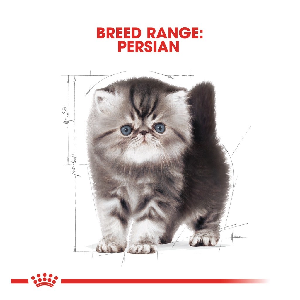 ROYAL CANIN Persian Kitten (4kg) Dry Cat Food Makanan Kucing – Feline Breed Nutrition - Image 5