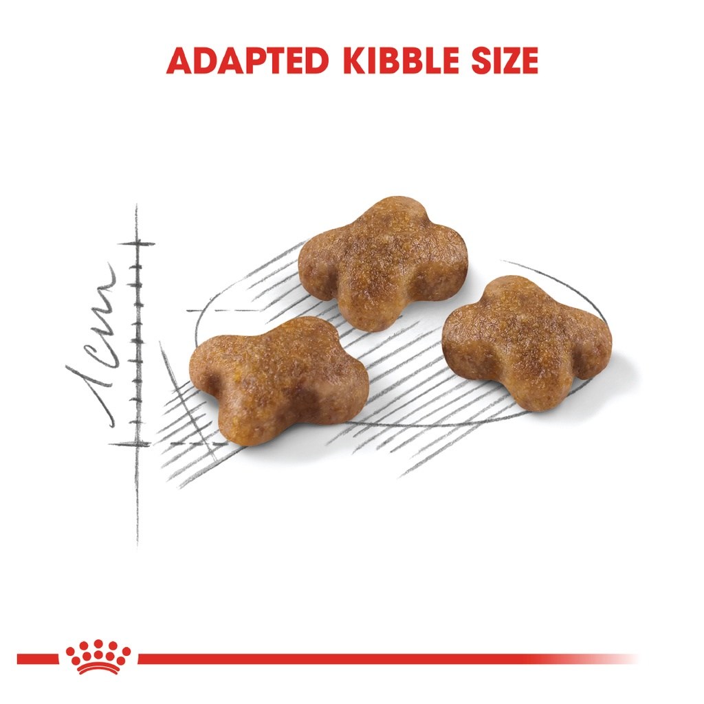 ROYAL CANIN Second Age Kitten (10kg) Dry Cat Food Makanan Kucing - Feline Health Nutrition [EXP:JUN 2023] - Image 4