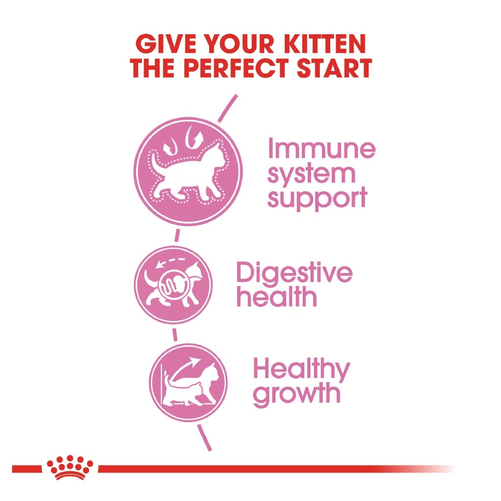 ROYAL CANIN Second Age Kitten (2kg) Dry Cat Food Makanan Kucing - Feline Health Nutrition - Image 3