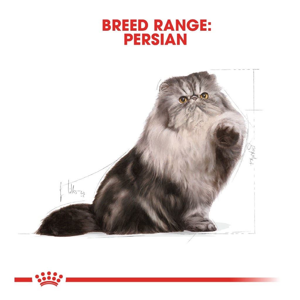 ROYAL CANIN Persian Adult (4kg) Dry Cat Food Makanan Kucing – Feline Breed Nutrition - Image 2