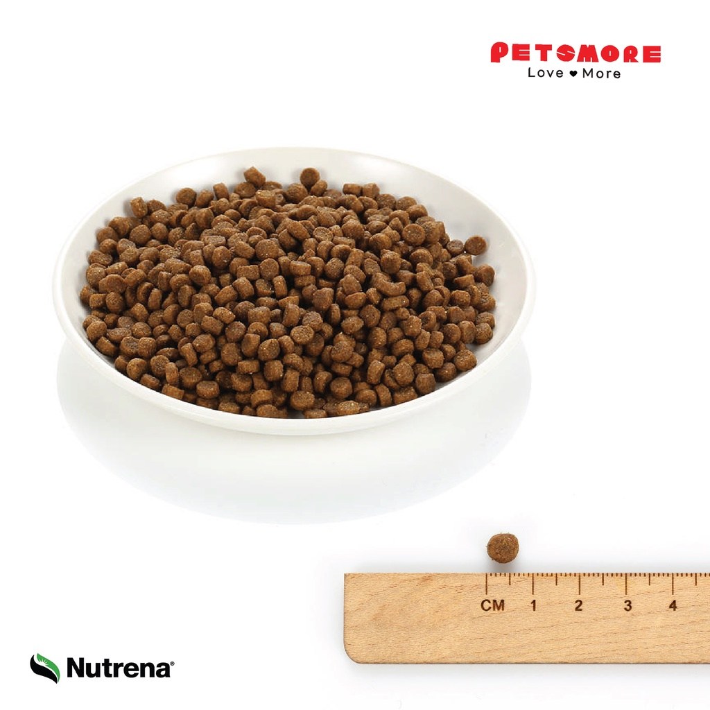 Nutrena Healthpedia Poodle Salmon Pet Food/Dog Dry Food (2kg) - Image 4