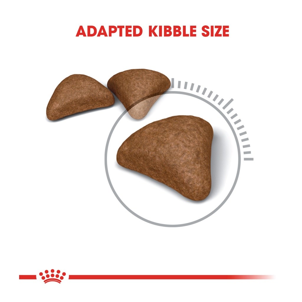 ROYAL CANIN Hairball Care (4kg) Adult Dry Cat Food Makanan Kucing - Feline Care Nutrition - Image 3