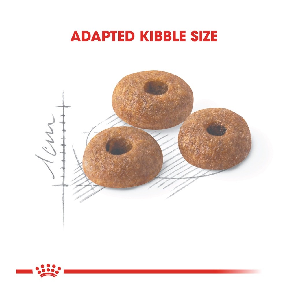 ROYAL CANIN Fit 32 (10kg) Adult Dry Cat Food Makanan Kucing - Feline Health Nutrition - Image 3