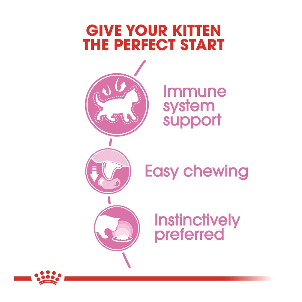 ROYAL CANIN Wet Range Kitten (85g x 12 pouches) Wet Cat Food Makanan Kucing - Feline Health Nutrition - Image 3