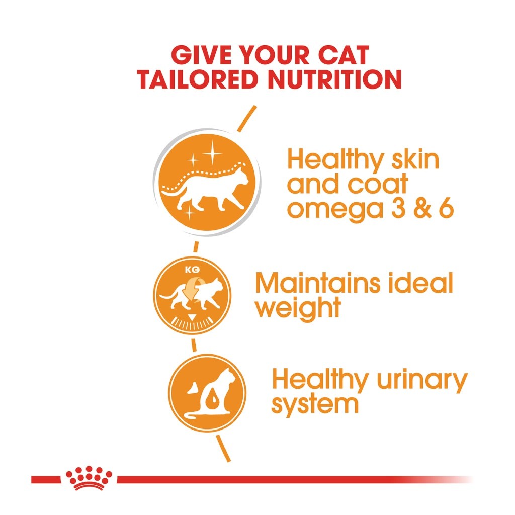 ROYAL CANIN Intense Beauty Adult Gravy (85g x 12 pouches) Wet Cat Food Makanan Kucing - Feline Care Nutrition - Image 2