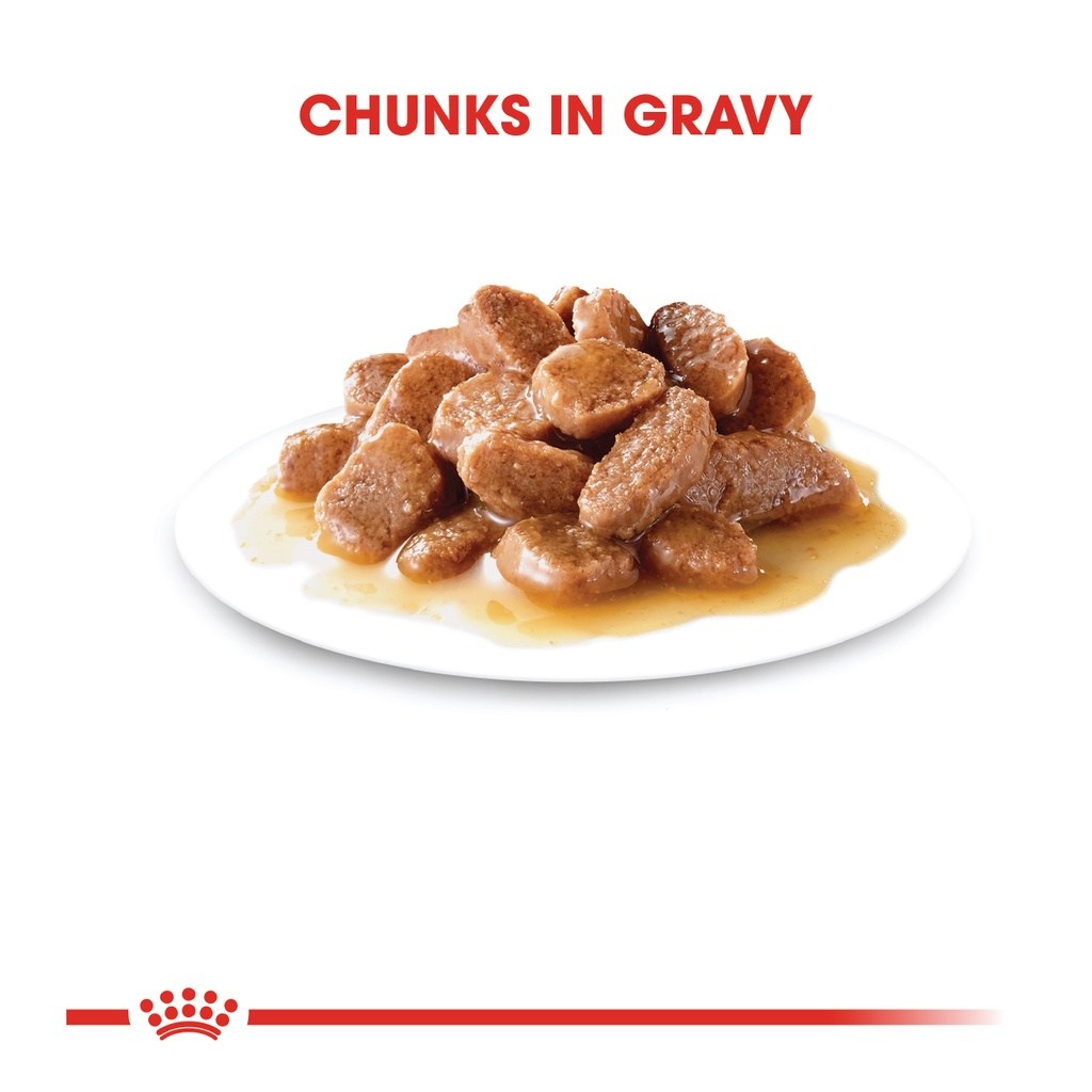 ROYAL CANIN Intense Beauty Adult Gravy (85g x 12 pouches) Wet Cat Food Makanan Kucing - Feline Care Nutrition - Image 3