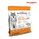 BACK2NATURE Grain Free Salmon 300g / Dog Food / Dog Dry Food
