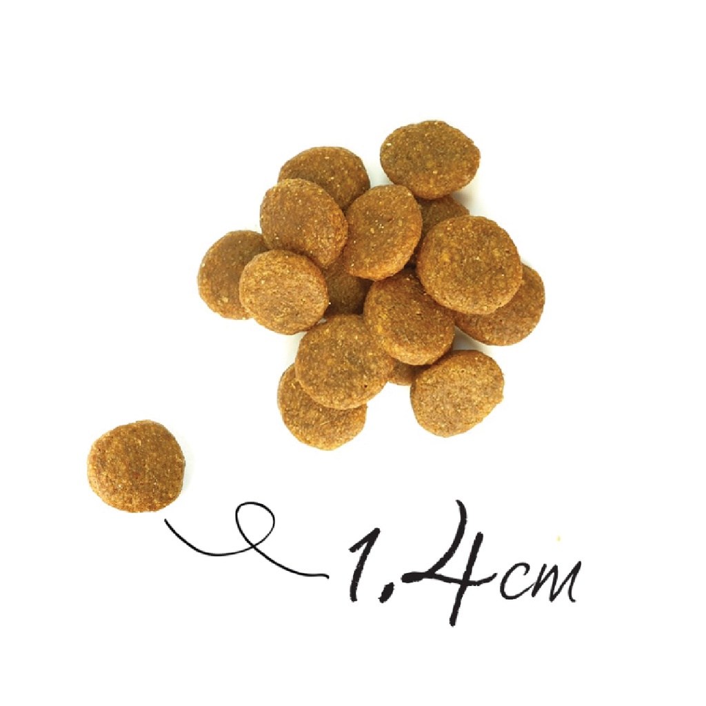 BACK2NATURE Grain Free Salmon 300g / Dog Food / Dog Dry Food - Image 3