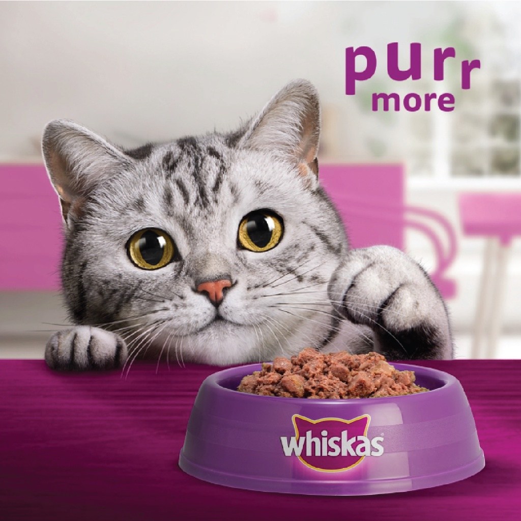 WHISKAS Pouch Adult Mackerel + Ocean Fish 80g Value Multi-Pack / Makanan Kucing / Cat Wet Food - Image 3
