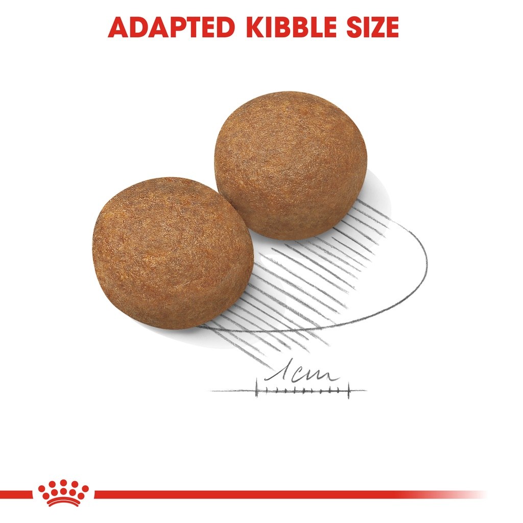 ROYAL CANIN Maxi Adult (15kg) Dry Dog Food  - Size Health Nutrition - Image 3