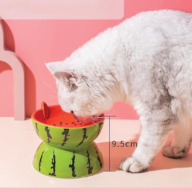 PET-iDO Anti-Vomiting Ceramic Cat Bowl - Watermelon (13cm) - Image 4
