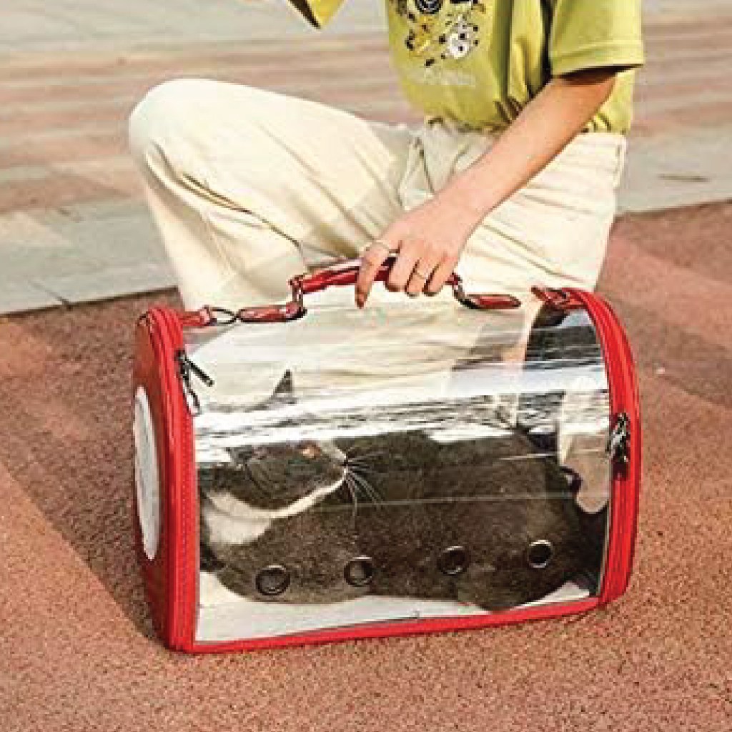 Petido Transparent Breathable Pet Bag For Dogs & Cats - Image 5
