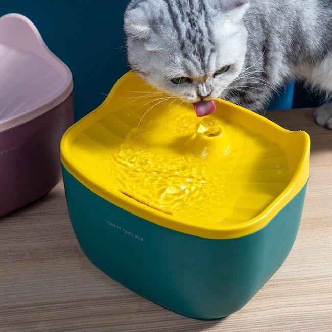 Petido Automatic Cat Water Fountain - Green/Yellow (2.5L) - Image 4