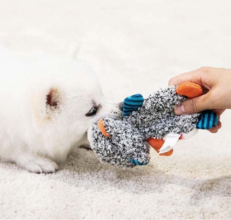 GIGWI Dog Plush Sound Toy - Raccoon - Image 3