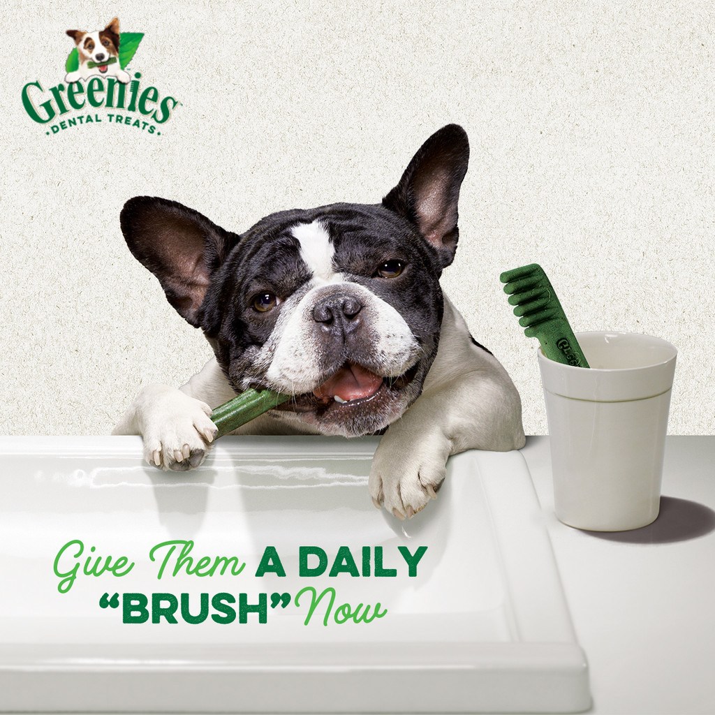 GREENIES Original Teenie 11pcs 85g (3oz) - Image 3