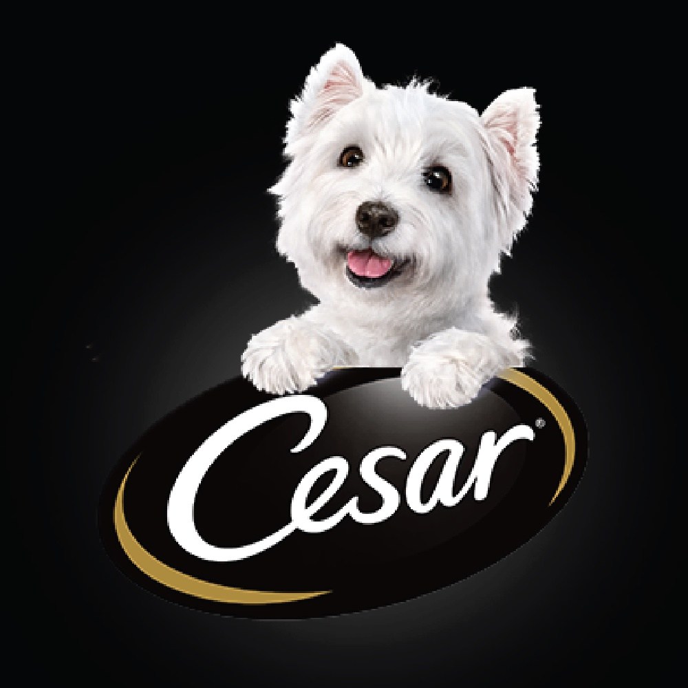 Cesar Pet Bowl - Image 3